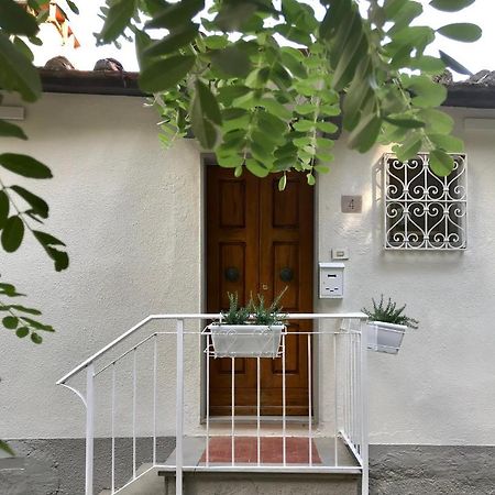 Rustico Rosmarino Villa Castiglion Fiorentino Exteriör bild