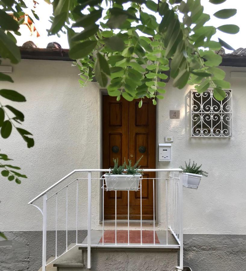 Rustico Rosmarino Villa Castiglion Fiorentino Exteriör bild